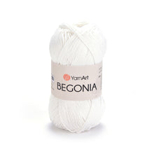 Load image into Gallery viewer, BEGONIA