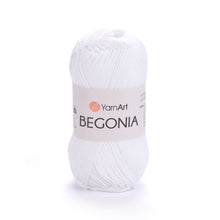Load image into Gallery viewer, BEGONIA