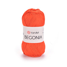 Load image into Gallery viewer, BEGONIA