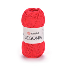 Load image into Gallery viewer, BEGONIA