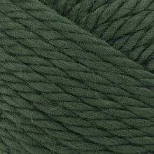 Load image into Gallery viewer, Hometown® Yarn - Ashland Pine [135-180J]
