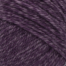 Load image into Gallery viewer, Heartland® Yarn - New River Gorge [136-146AP]
