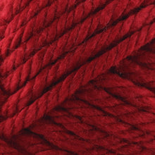Load image into Gallery viewer, Hometown® Yarn - Tampa Spice [135-114I]
