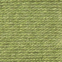 Load image into Gallery viewer, Hometown® Yarn - Savannah Sage [135-173H]
