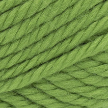 Load image into Gallery viewer, Hometown® Yarn - Oklahoma City Green [135-172D]
