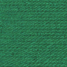 Load image into Gallery viewer, Hometown® Yarn - Grand Rapids Green [135-174J]

