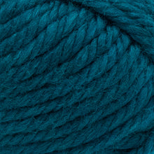 Load image into Gallery viewer, Hometown® Yarn - Montpelier Peacock [135-175E]
