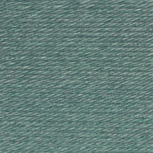 Load image into Gallery viewer, Hometown® Yarn - Saint Louis Sage [135-178L]
