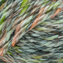 Load image into Gallery viewer, Hometown® Yarn - Durham Woods [135-229D]
