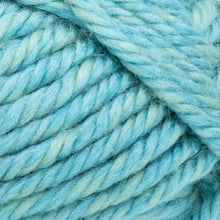 Load image into Gallery viewer, Hometown® Yarn - Reseda Dojo [135-236E]
