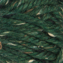 Load image into Gallery viewer, Hometown® Yarn - Riverdale Tweed [135-318E]
