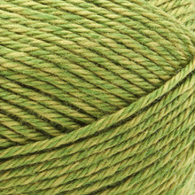 Load image into Gallery viewer, Heartland® Yarn - Everglades [136-173J]
