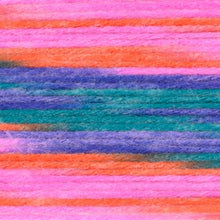Load image into Gallery viewer, Bundle of Love™ Yarn - Tropical Bloom [149-226S]
