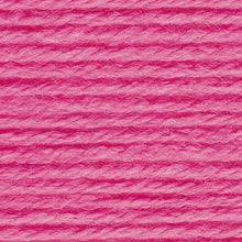 Load image into Gallery viewer, Pound of Love® Yarn - Bubblegum [550-102]
