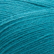 Load image into Gallery viewer, Pound of Love® Yarn - Aquamarine [550-108N]
