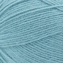 Load image into Gallery viewer, Pound of Love® Yarn - Succulent [550-116E]
