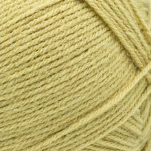 Load image into Gallery viewer, Pound of Love® Yarn - Straw [550-122Q]
