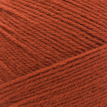 Load image into Gallery viewer, Pound of Love® Yarn - Pumpkin Spice [550-132Z]
