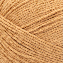 Load image into Gallery viewer, Pound of Love® Yarn - Pumpkin Pie [550-135N]
