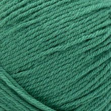 Load image into Gallery viewer, Pound of Love® Yarn - Fern [550-171C]
