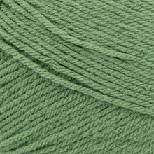 Load image into Gallery viewer, Pound of Love® Yarn - Olive [550-172T]
