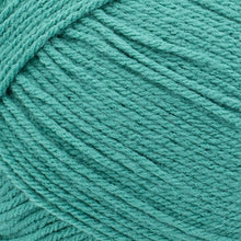 Load image into Gallery viewer, Pound of Love® Yarn - Waterfall [550-173AB]
