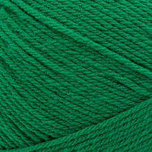 Load image into Gallery viewer, Pound of Love® Yarn - Wintergreen [550-174Y]
