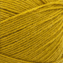 Load image into Gallery viewer, Pound of Love® Yarn - Maize [550-178X]
