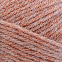 Load image into Gallery viewer, Wool-Ease® Yarn - Canyon Sunset [620-003B]
