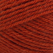Load image into Gallery viewer, Wool-Ease® Yarn - Koi [620-033A]
