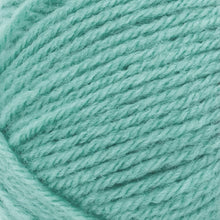 Load image into Gallery viewer, Wool-Ease® Yarn - Succulent [620-119]
