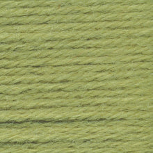 Load image into Gallery viewer, Wool-Ease® Yarn - Sage [620-173F]
