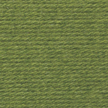 Load image into Gallery viewer, Wool-Ease® Yarn - Avocado [620-174B]
