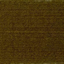 Load image into Gallery viewer, Wool-Ease® Yarn - Cilantro [620-182B]
