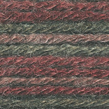 Load image into Gallery viewer, Wool-Ease® Yarn - Wood Multi [620-232B]
