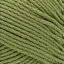Load image into Gallery viewer, 24/7 Cotton® Yarn - Bayleaf [761-171V]
