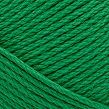 Load image into Gallery viewer, 24/7 Cotton® Yarn - Ivy League [761-179AA]

