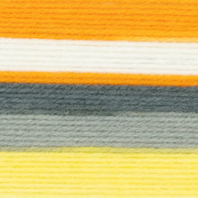 Load image into Gallery viewer, Ice Cream® Yarn - Tiger Tail [923-257G]
