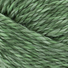 Load image into Gallery viewer, Hometown® Yarn - Everglades [135-241G]
