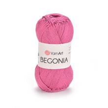 Load image into Gallery viewer, BEGONIA
