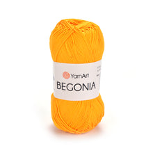 Load image into Gallery viewer, BEGONIA
