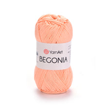 Load image into Gallery viewer, BEGONIA
